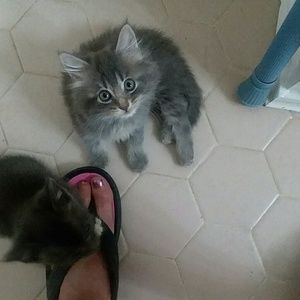 Meet your Posher, Mary